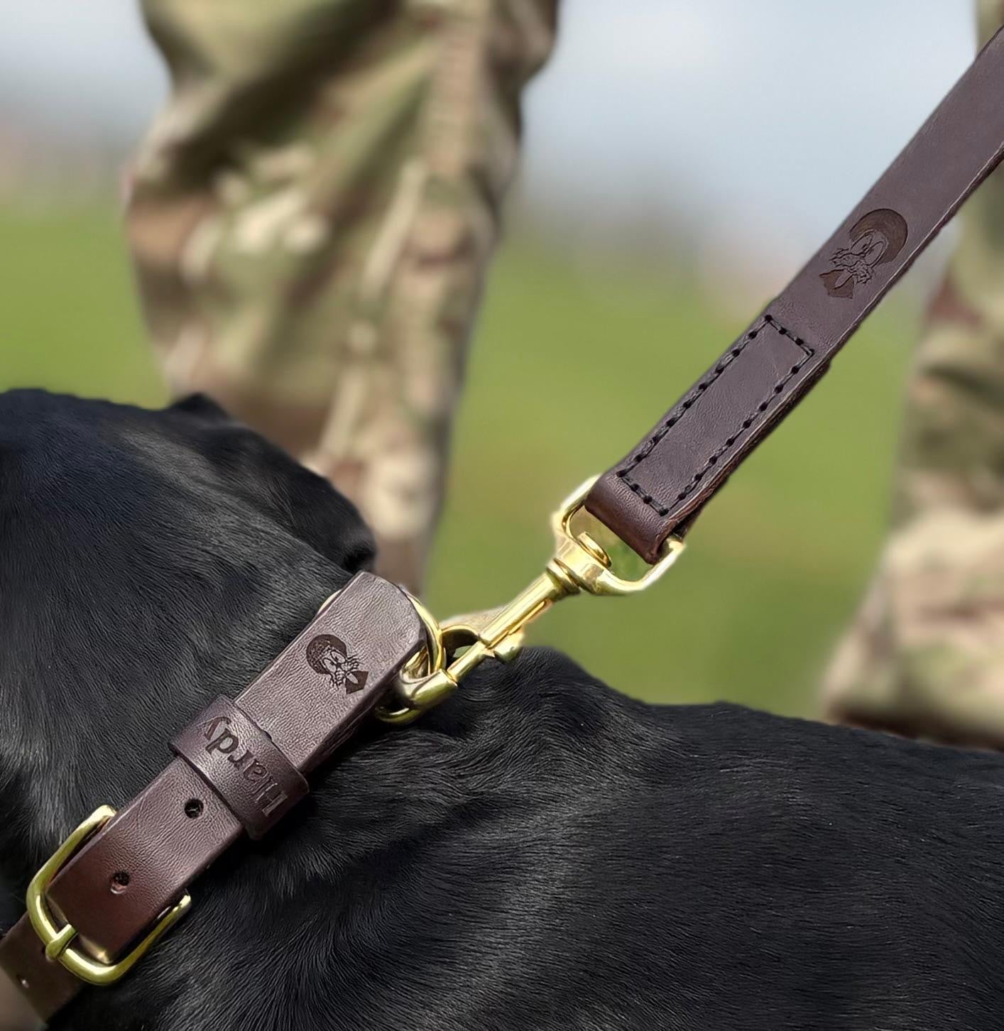Felix - Dog Collar