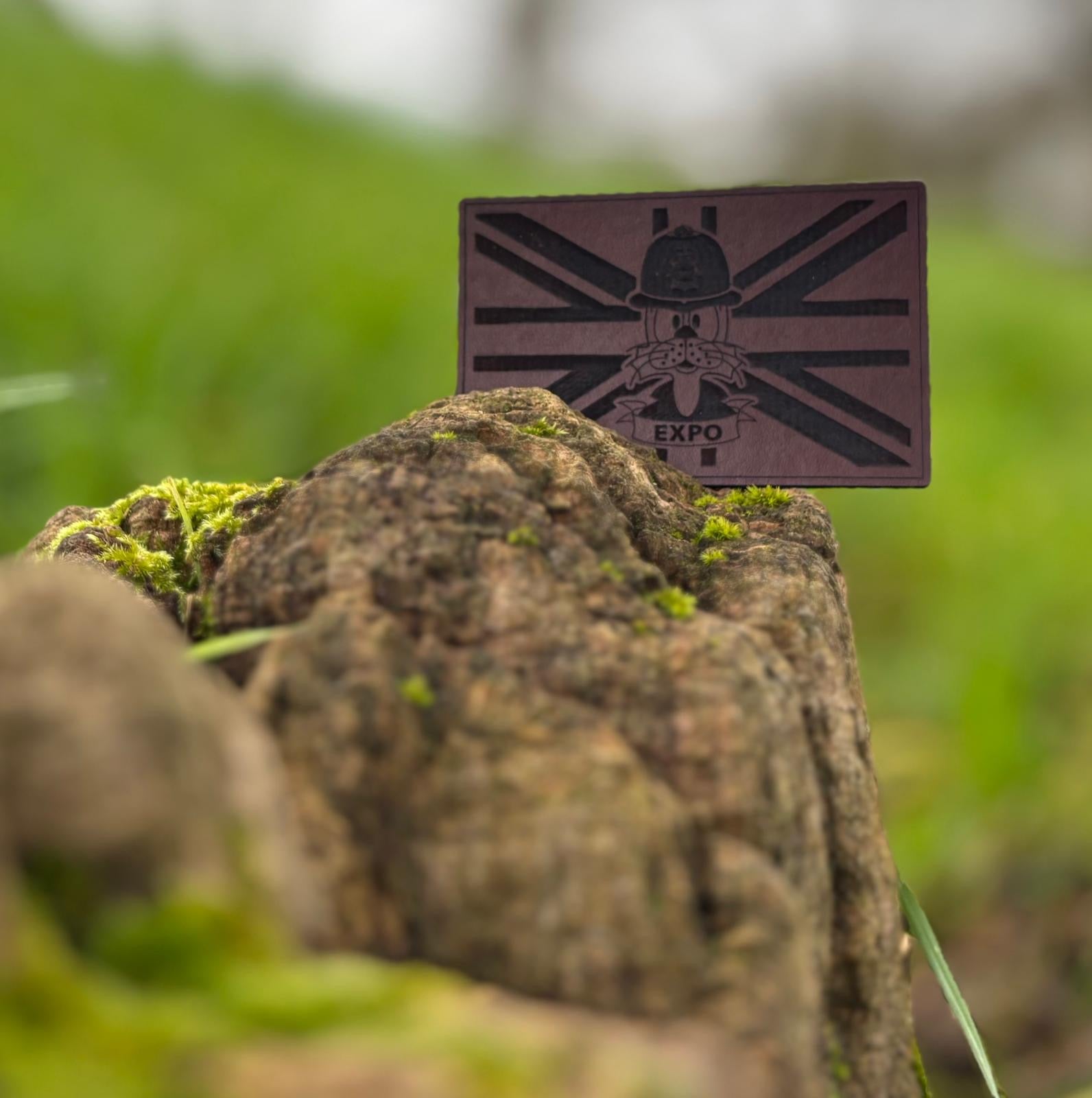 Felix on Union Flag