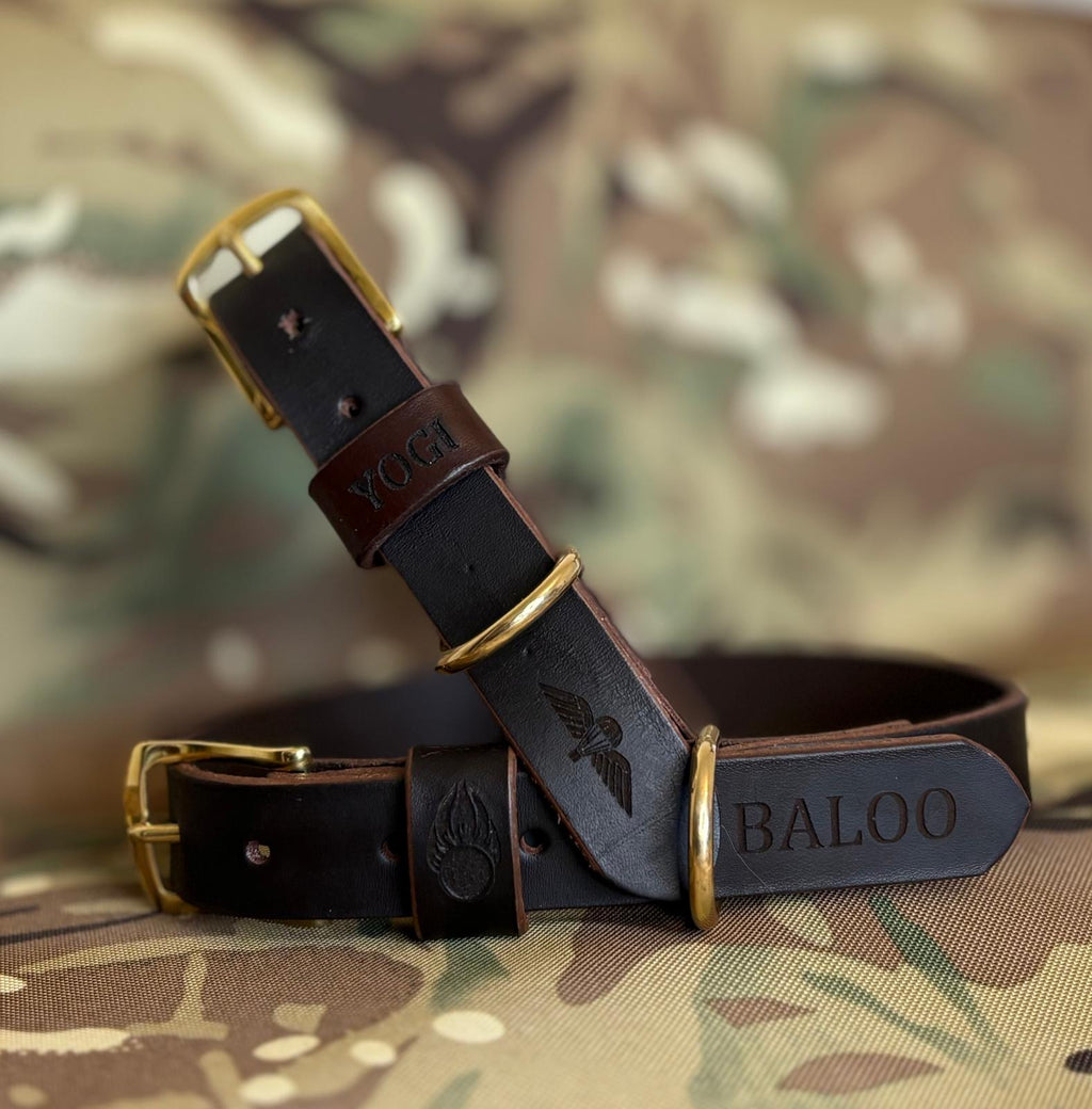 Dog Collar