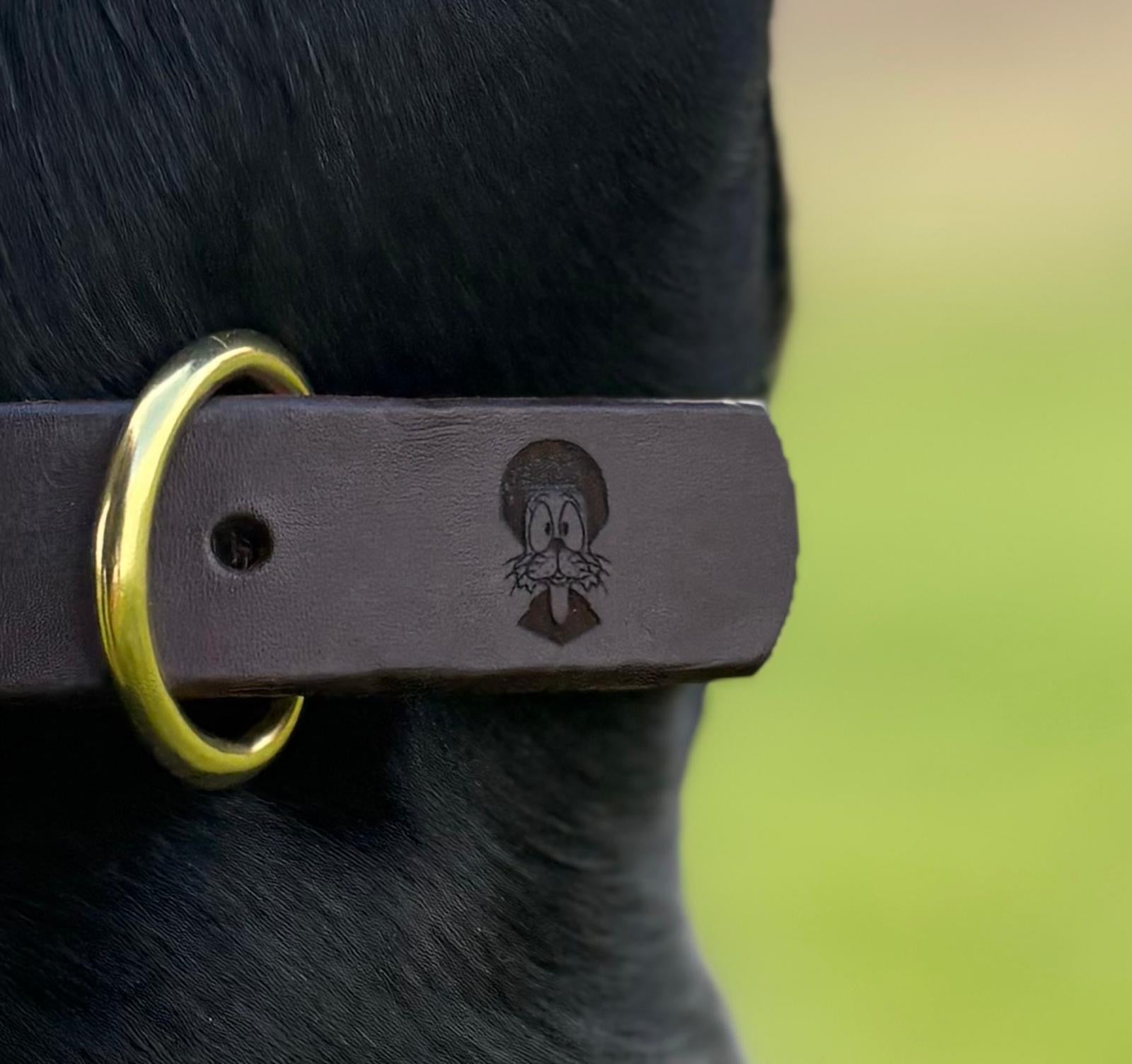 Felix - Dog Collar