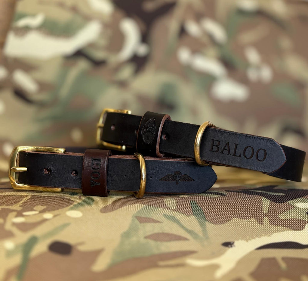 Dog Collar