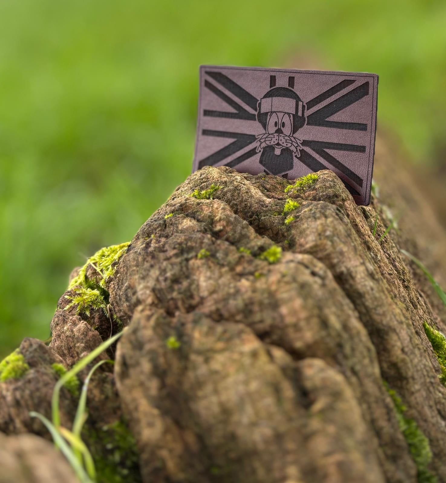Felix on Union Flag
