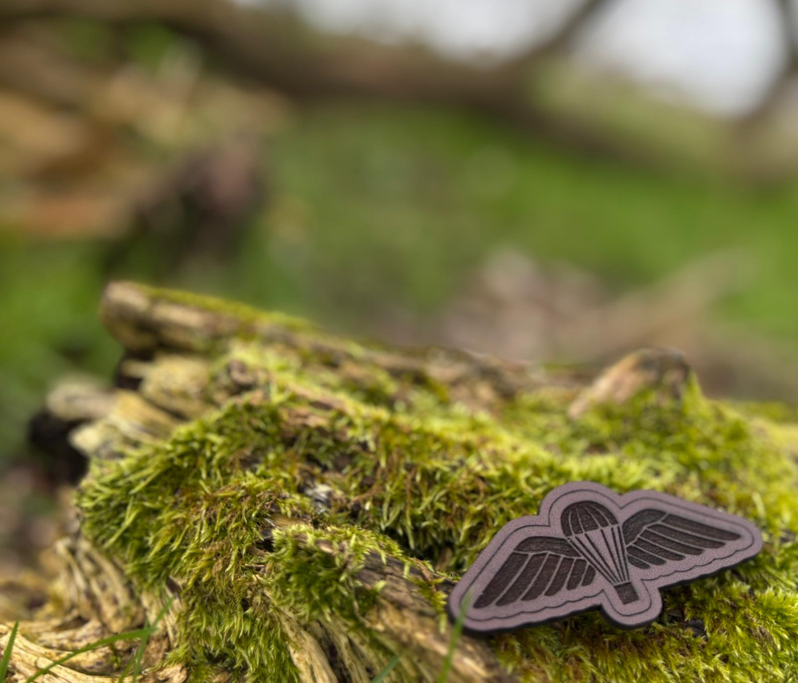 Para Wings